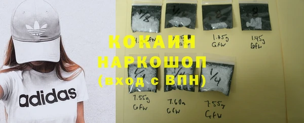 таблы Бородино