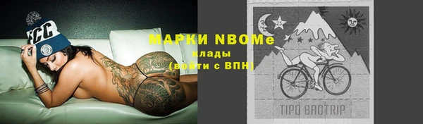 таблы Бородино