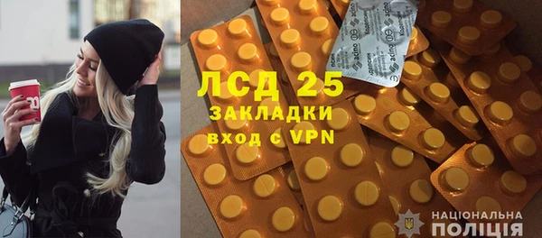 таблы Бородино