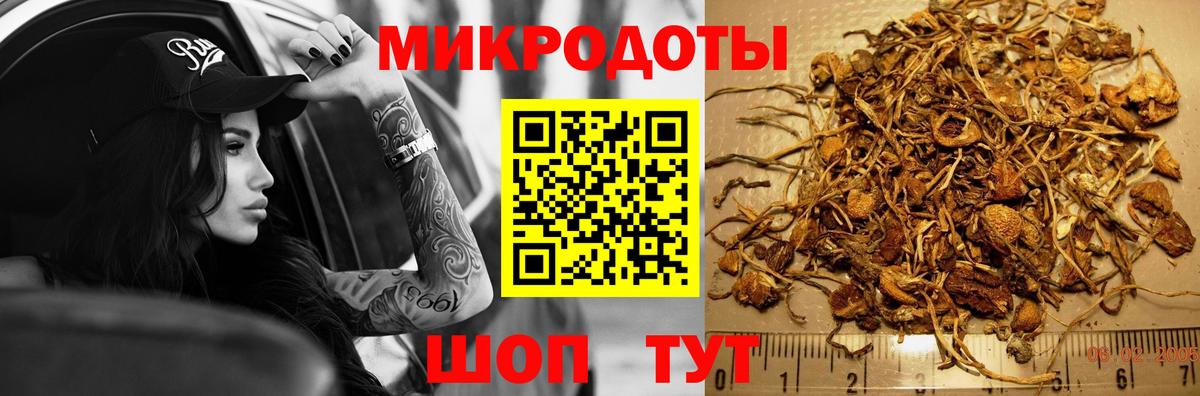 Псилоцибиновые грибы Psilocybe Горячий Ключ