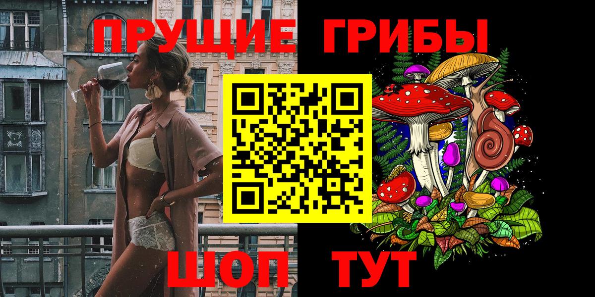 Псилоцибиновые грибы Psilocybine cubensis Горячий Ключ